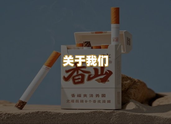 关于我们